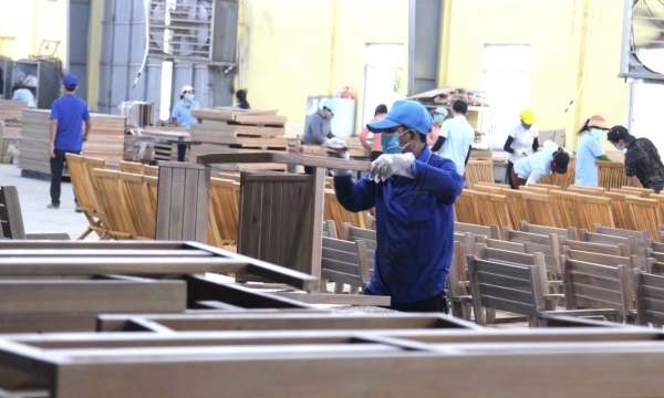 'Path of life' for Vietnam's wood industry: Proactive about the raw wood source from planted forests